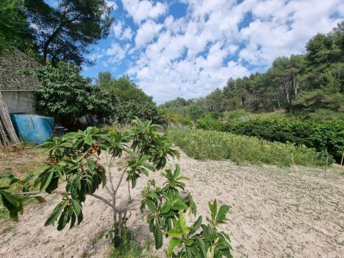 Mallorca - Tolles Landhaus mit großem Grundstück!