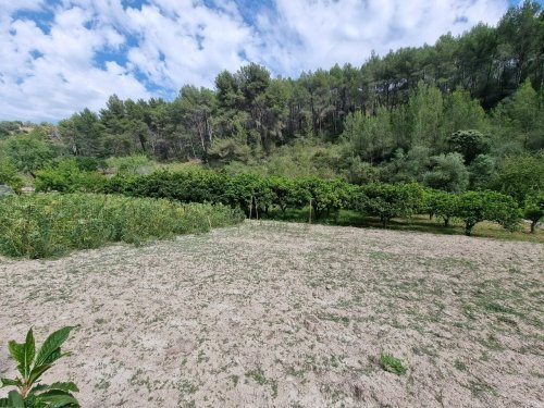 Mallorca - Tolles Landhaus mit großem Grundstück!