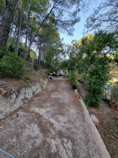 Mallorca - Tolles Landhaus mit großem Grundstück!