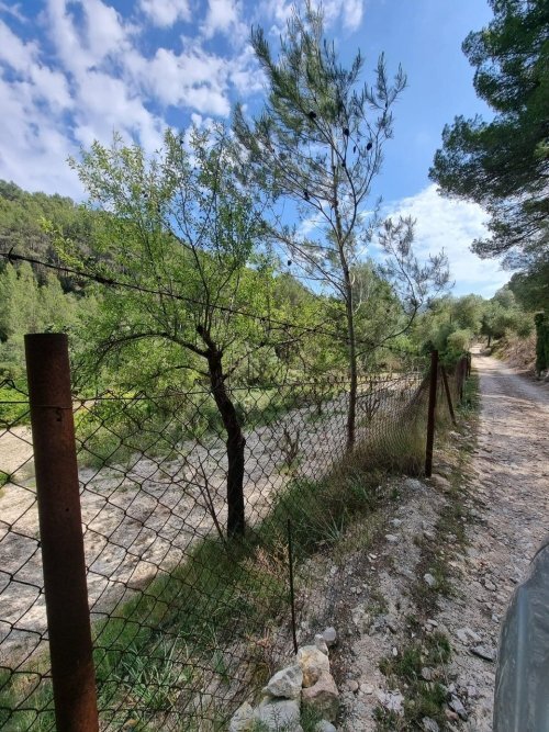 Mallorca - Tolles Landhaus mit großem Grundstück!