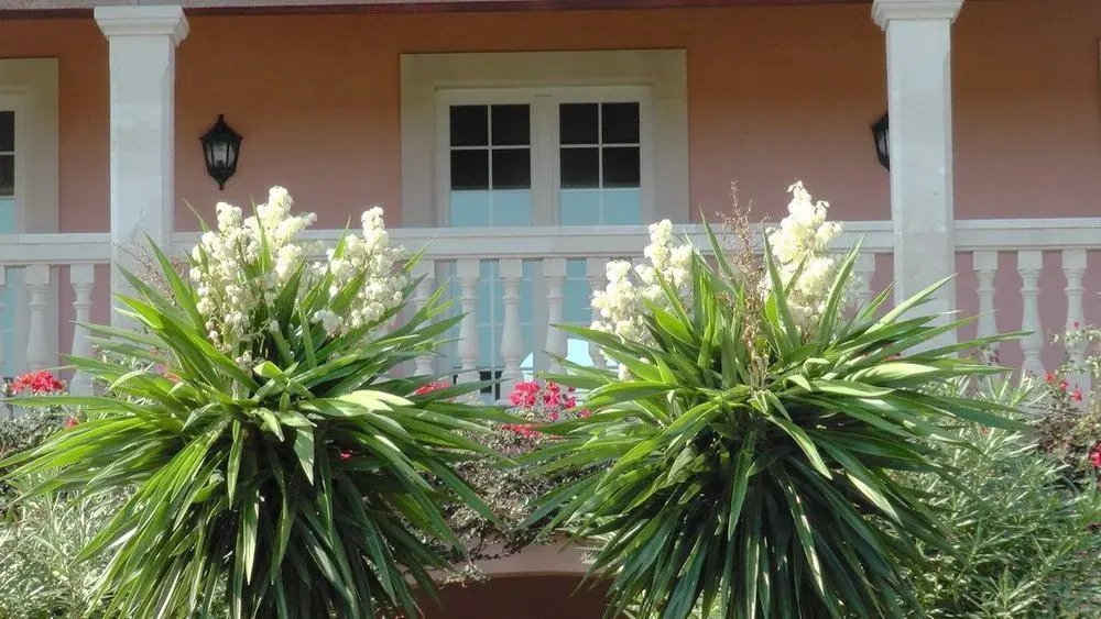 Mallorca - Villa mit spektakulärem 360-Grad-Panoramablick auf Meer und Berge