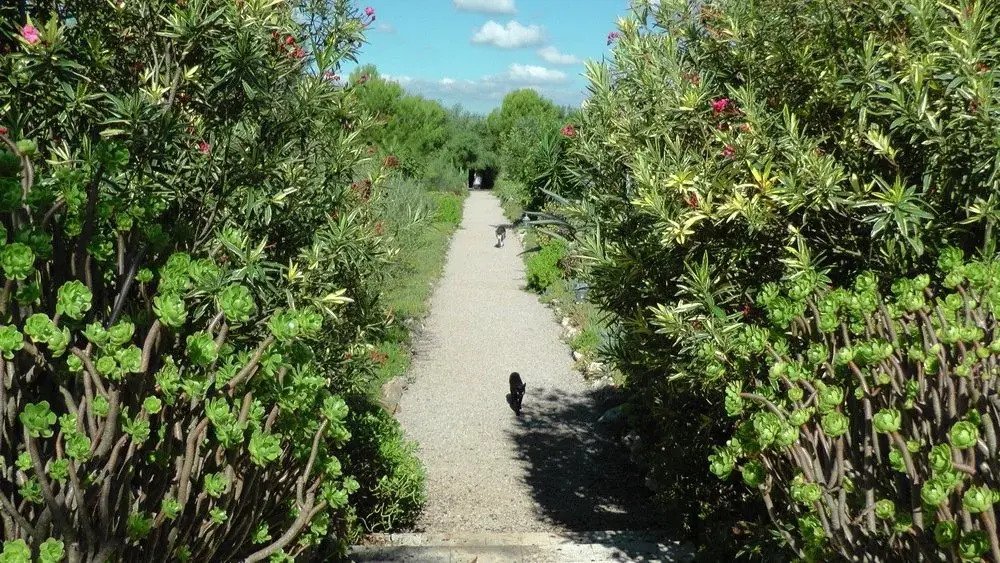 Mallorca - Villa mit spektakulärem 360-Grad-Panoramablick auf Meer und Berge